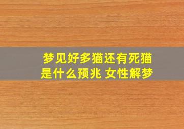 梦见好多猫还有死猫是什么预兆 女性解梦